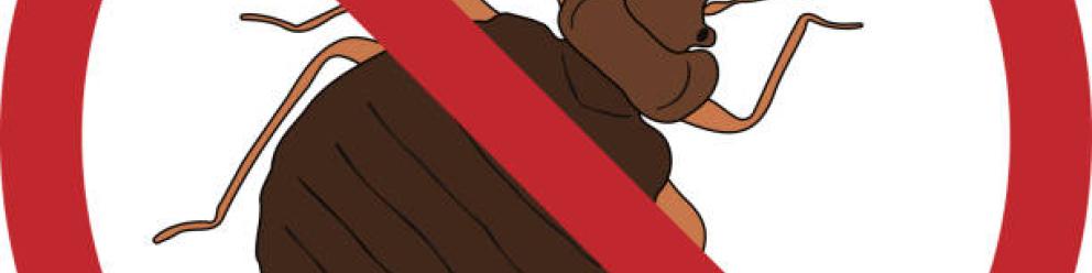 Guide National de lutte contre les punaises de lit